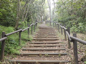 ��ێR�ւ̊K�i