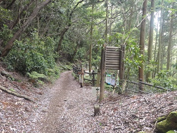 ���l�쉀�ւ̕���