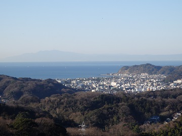 �V�����猩�����͘p�ƈɓ�����