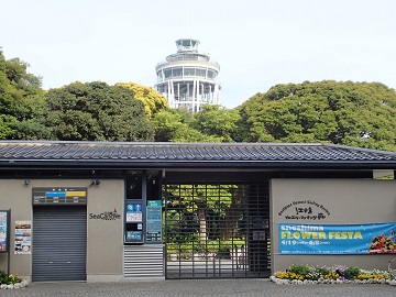 �T���G���E�R�b�L���O��