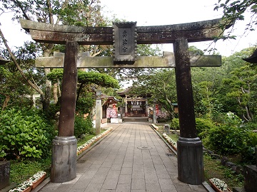 ������i�̒���