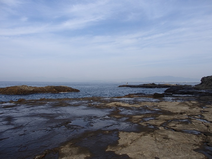 �t������