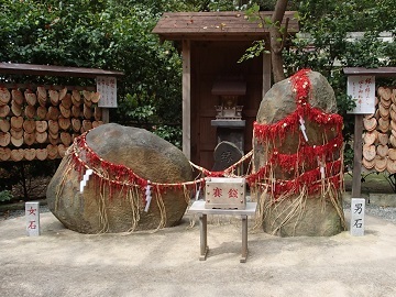 �����ѐ�