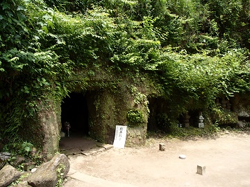 �k�𐭎q�̕�