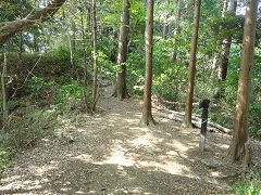 ���{���ւ̕���