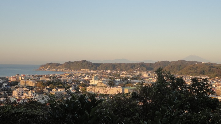 �_���R���猩���x�m�R