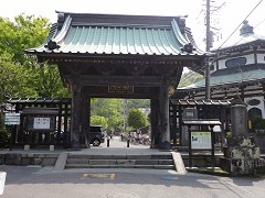 ���{���̑���