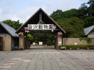 ���򓮕���