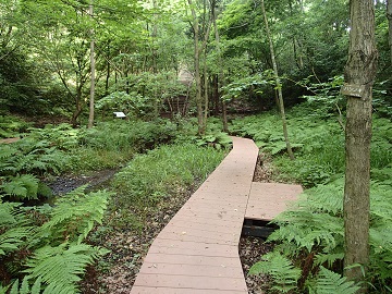 ���򎩑R����