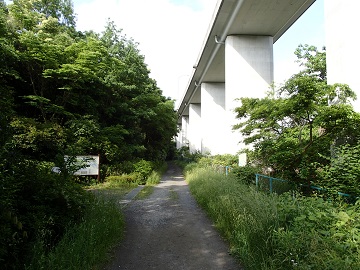 ���l���{�ꓹ�H