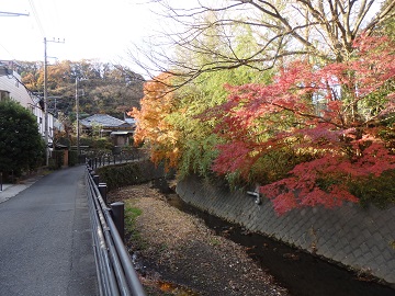 ���쉈���̍g�t