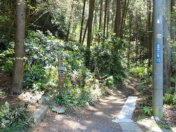 �ߒ��R�̓o�R��