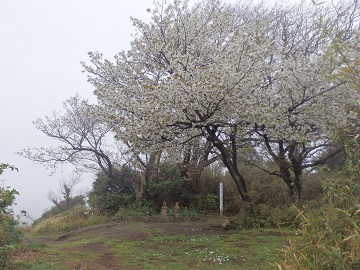 �I�I�V�}�U�N��