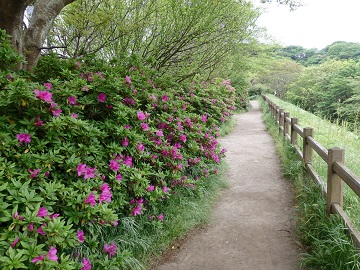 �ӂꂠ���̐X