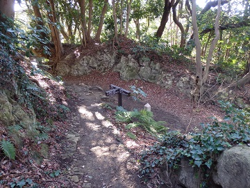 ���z�ؒʁA�������ւ̕���