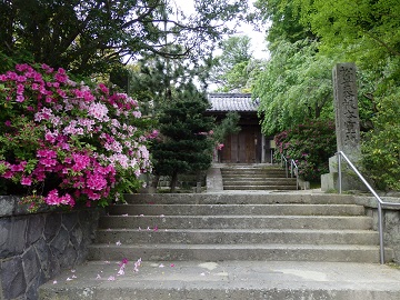 �����_��