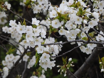 �I�I�V�}�U�N��