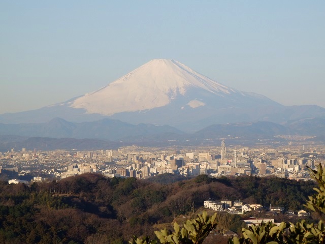 �V���n�C�L���O�R�[�X���猩���x�m�R