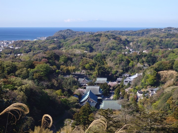 �V���n�C�L���O�R�[�X���猩���������Ƒ��͘p