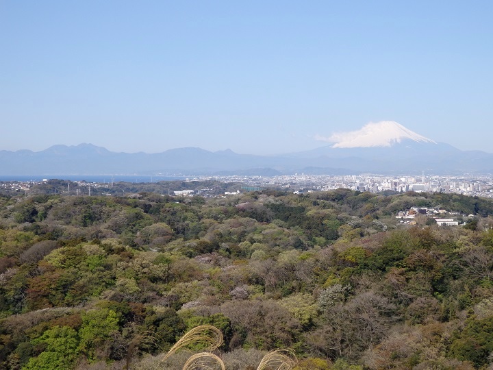 ���㌣�W�]�䂩�猩���x�m�R