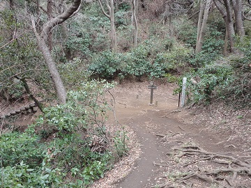 �o��������