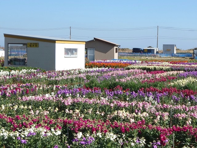 ���ԒÂ��Ԕ�