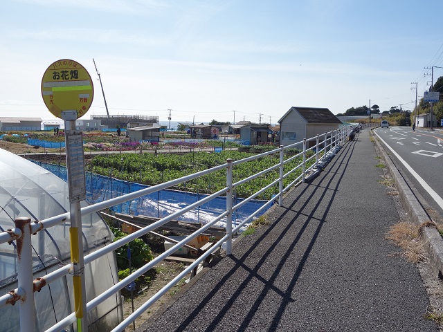 ������ʁE���Ԕ��o�X��