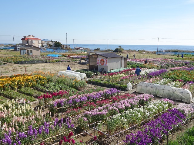 ���ԒÂ��Ԕ�