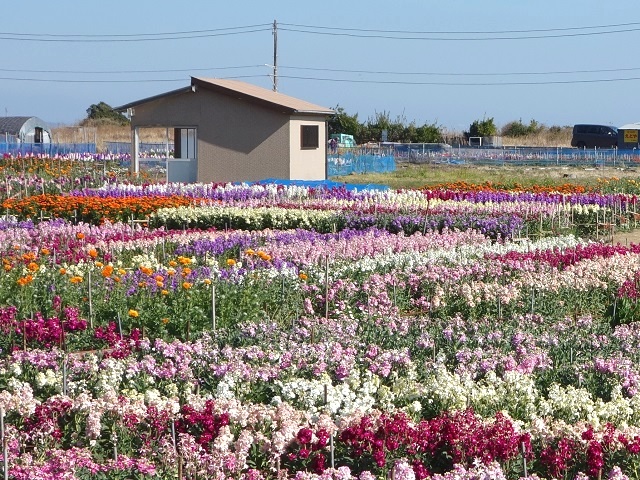 ���ԒÂ��Ԕ�