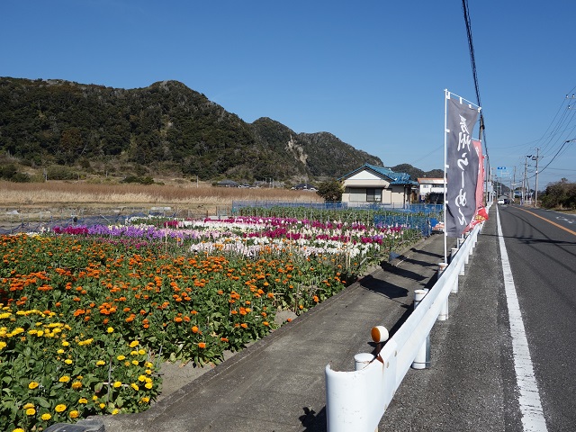 �[���t�����[���C��