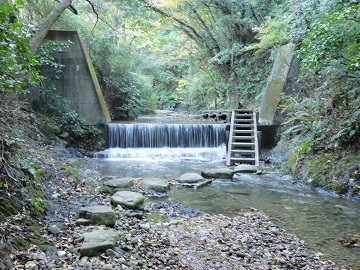 �O�c��V����