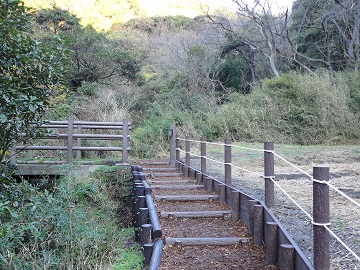 ���R�o�R��