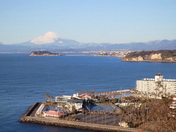 ����������x�m�R�ƍ]�m���̒���