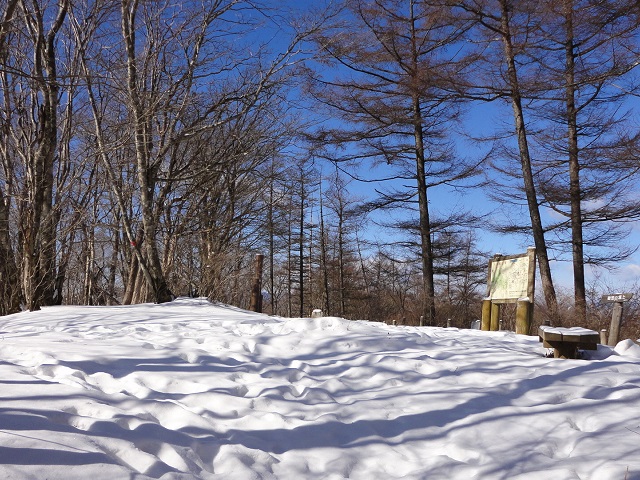 �������w�����O�R��