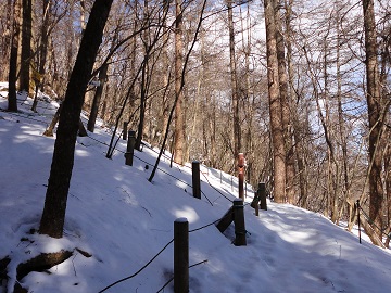 ��������̓��ƍ���