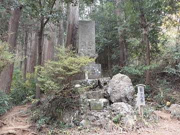 �攪�\����