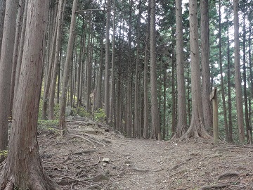 �O���R�ւ̕���