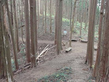 �񖓔��w�ւ̕���