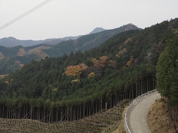 ���̏o�R�E��x�R����