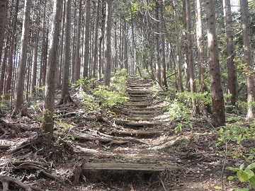 ���̏o�R�ւ̓o��