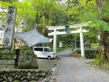 �\�Q���̓o���