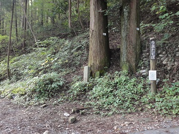 ���܂��Ă�