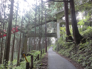 ���̒�������