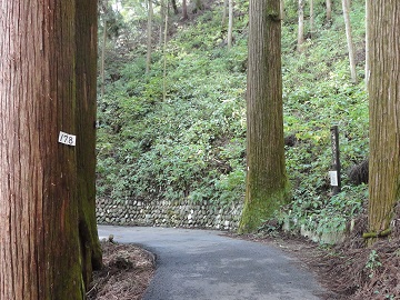 ���イ�������