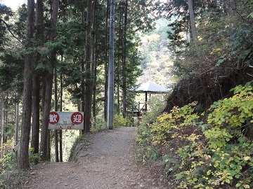 �L�����v�����