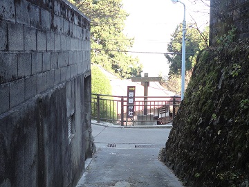 �Q���ɏo��