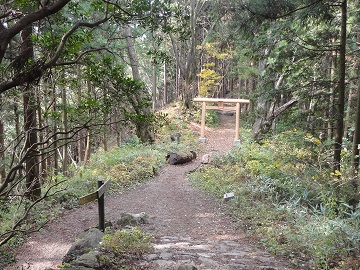 ��Ԑ_�Ђ̒���