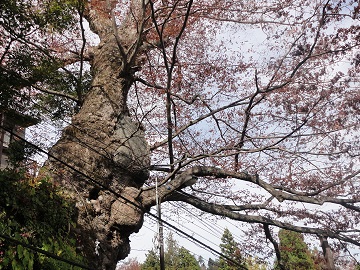 �_��P���L