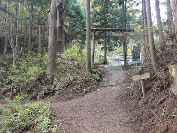 �V��̍��|����