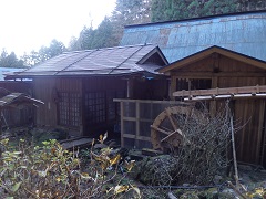 ���̒����E�݂���